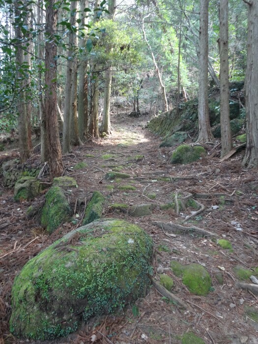 熊野古道 大吹峠