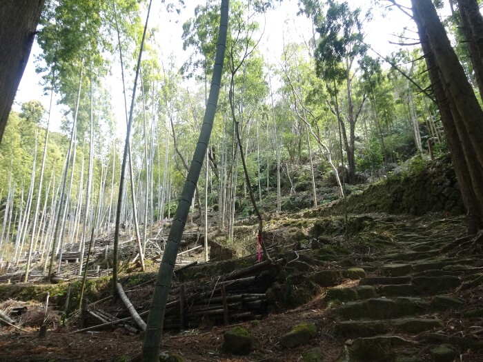 熊野古道 大吹峠