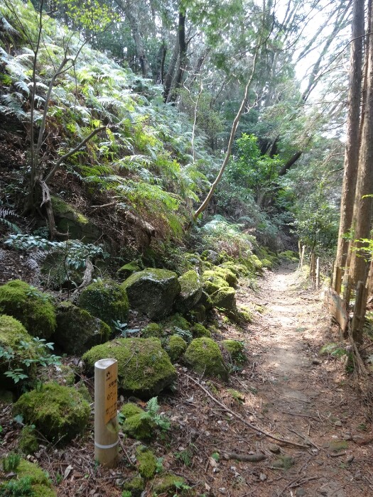 熊野古道 大吹峠