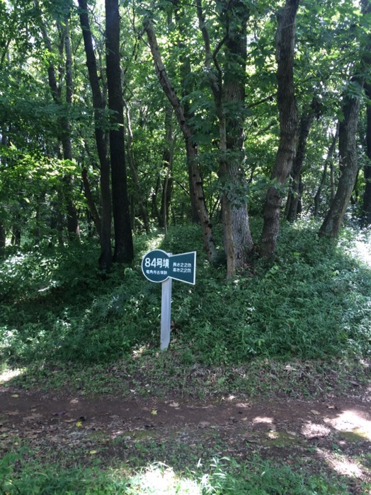 84号墳