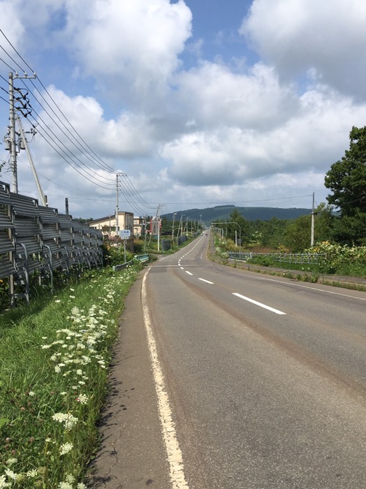 こういう道がしばらく続きます