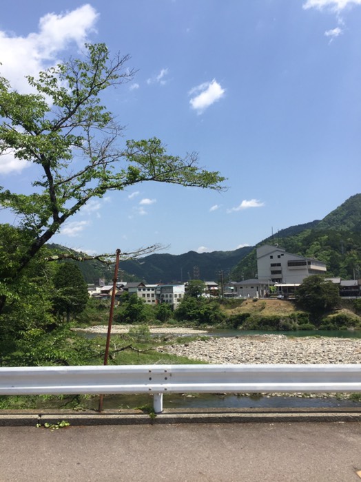 飛騨川の並木道