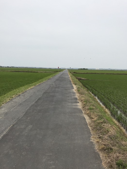 田んぼの道
