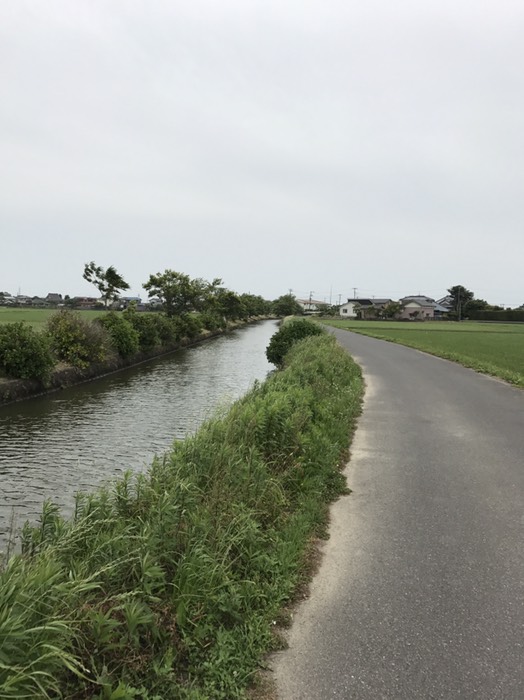 こういう道を行く