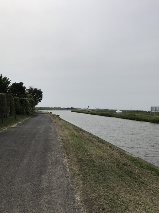 この用水沿いに行く
