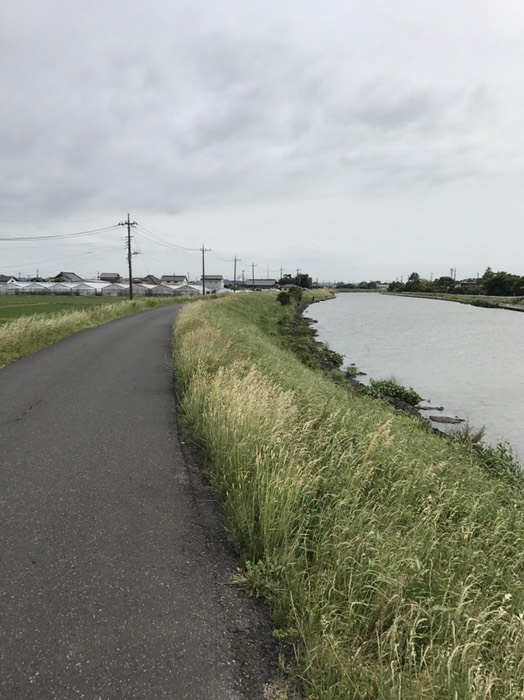 ここで南に