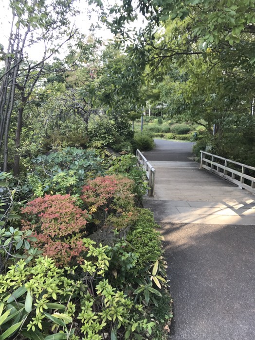 檜町公園
