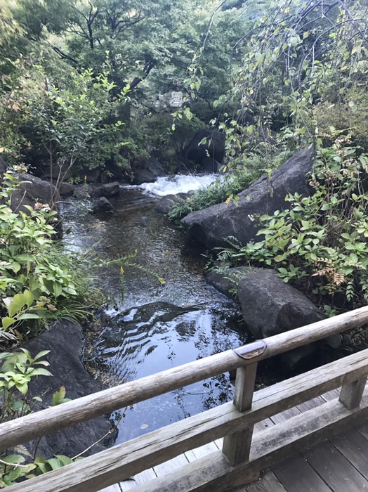 滝景色