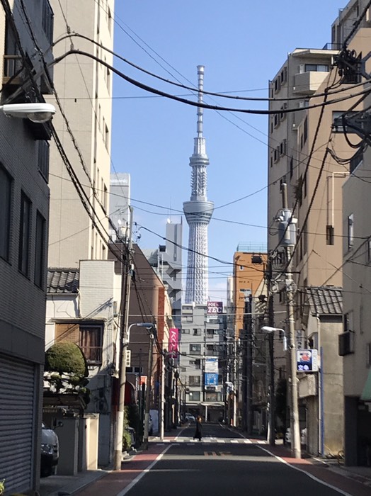 スカイツリーが見える