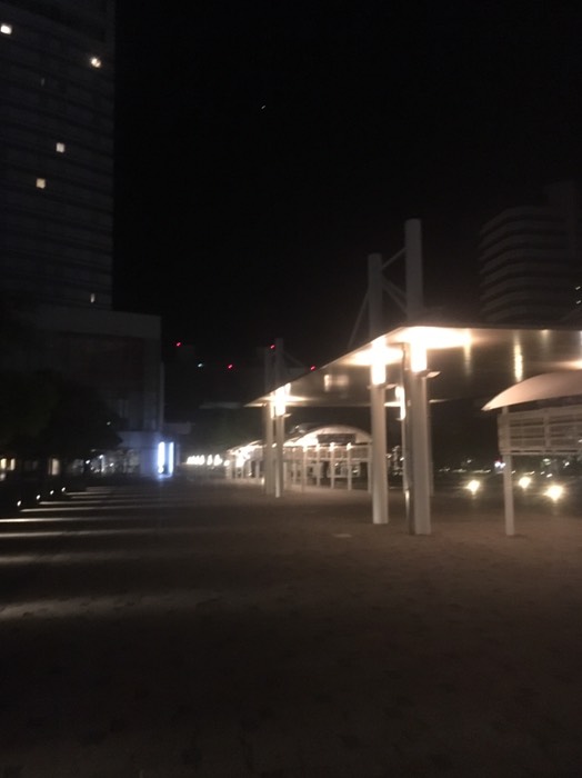お台場付近