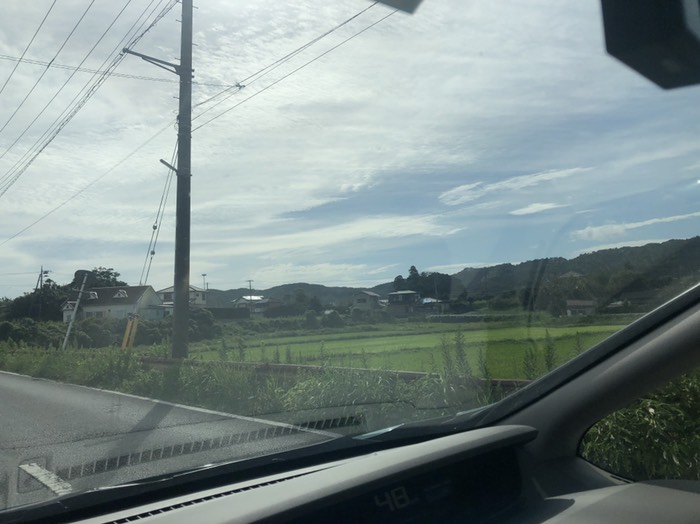 牧場絵になるあり