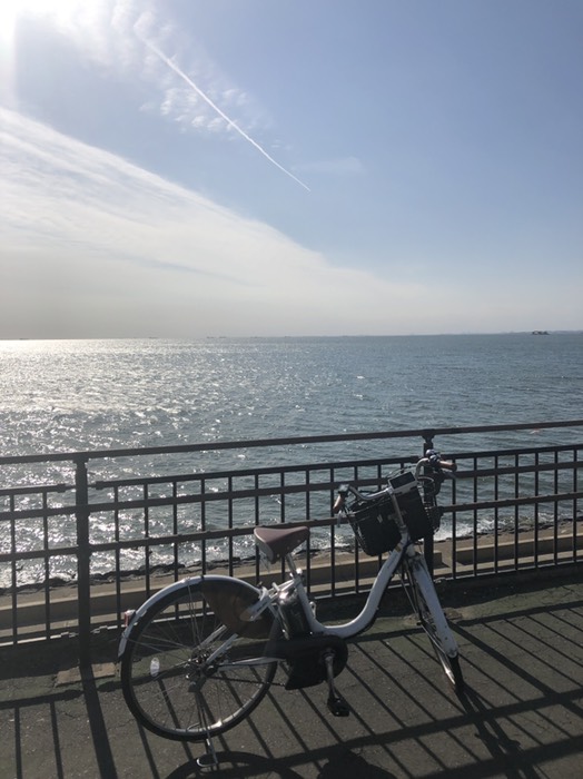 検見川の浜