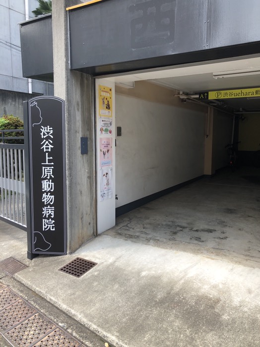 渋谷上原動物病院