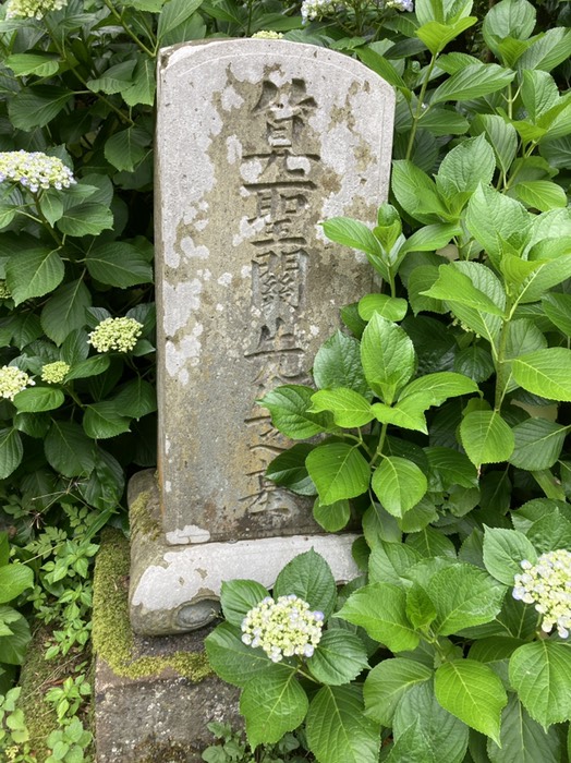 観音院境内の算聖関先生のお墓