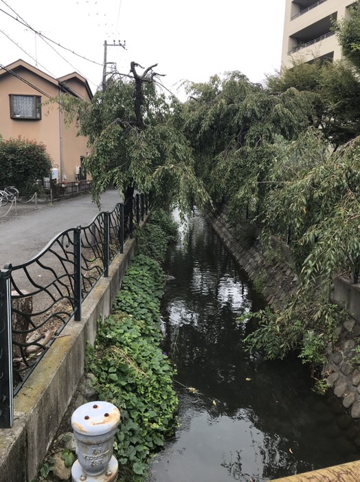 二ヶ領用水