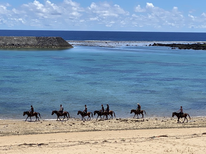 Dr.コトー診療所④