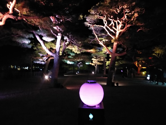 NAKED FLOWERS 高知城