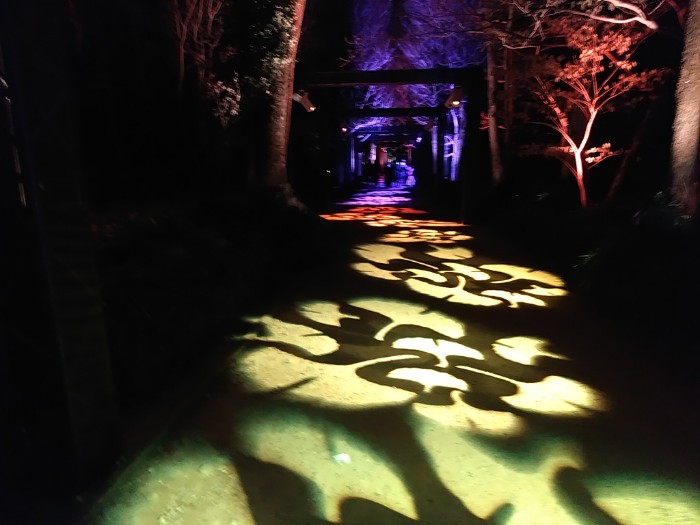 NAKED FLOWERS 高知城