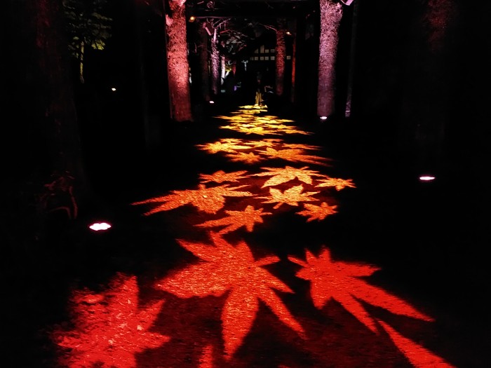 NAKE L FOWERS 高知城