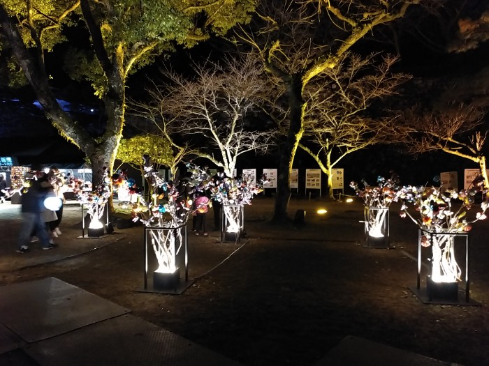 NAKED FLOWERS 高知城