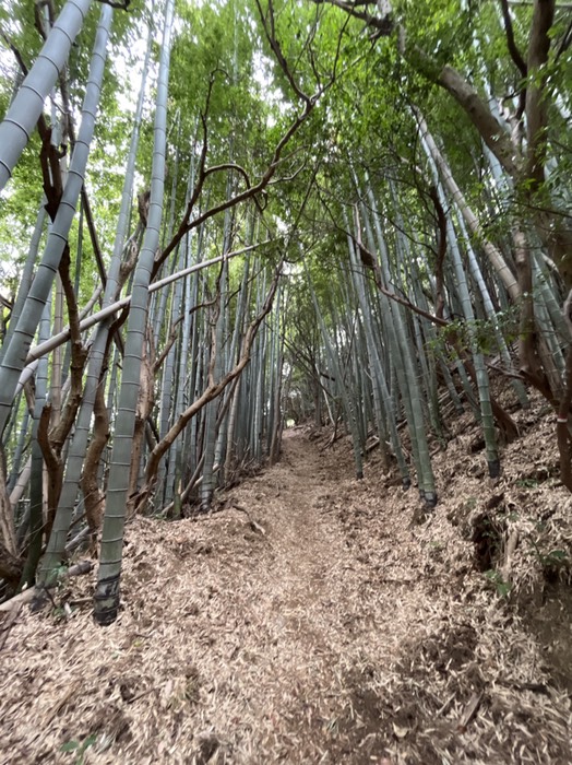 初めは緩やか