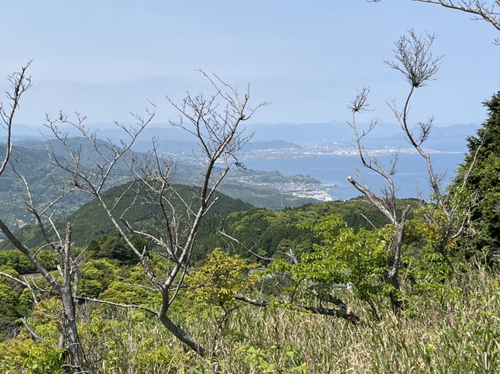 岩国市街地