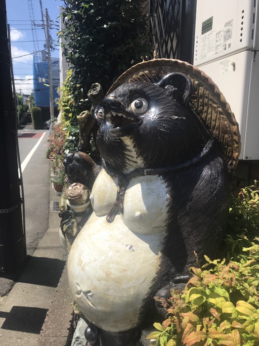 タヌキ1