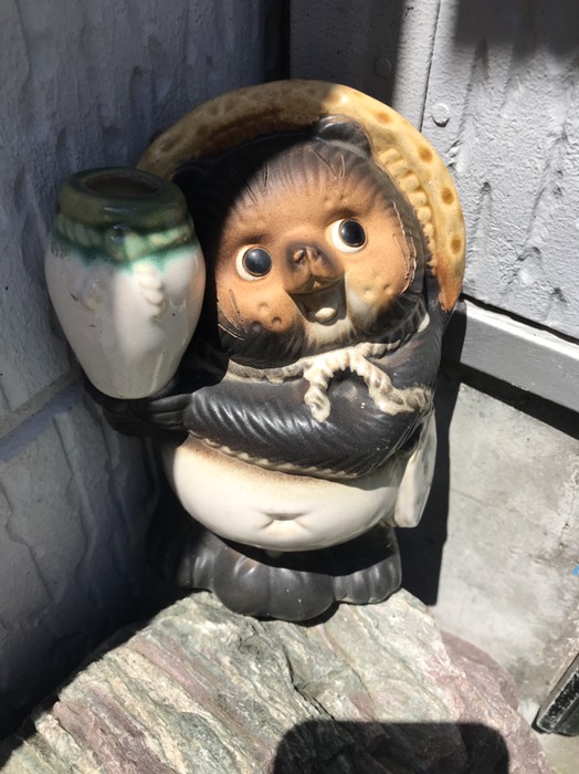 タヌキ2
