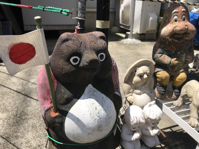 タヌキ3