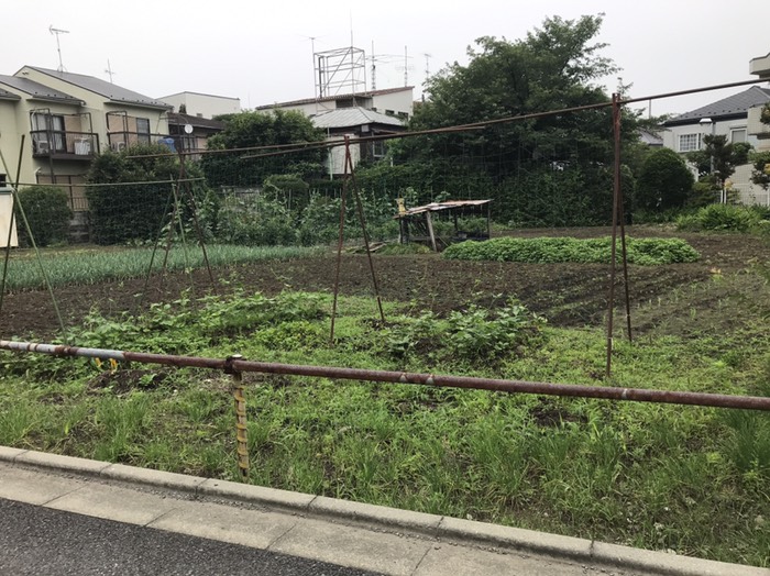都会の畑