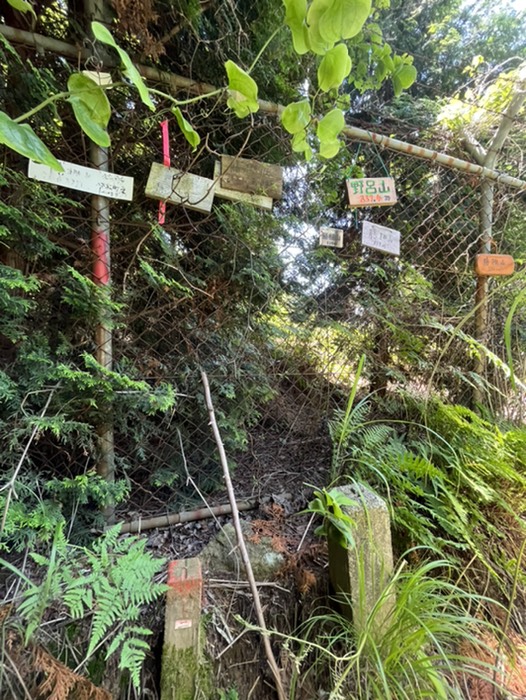 膳棚山山頂だけど