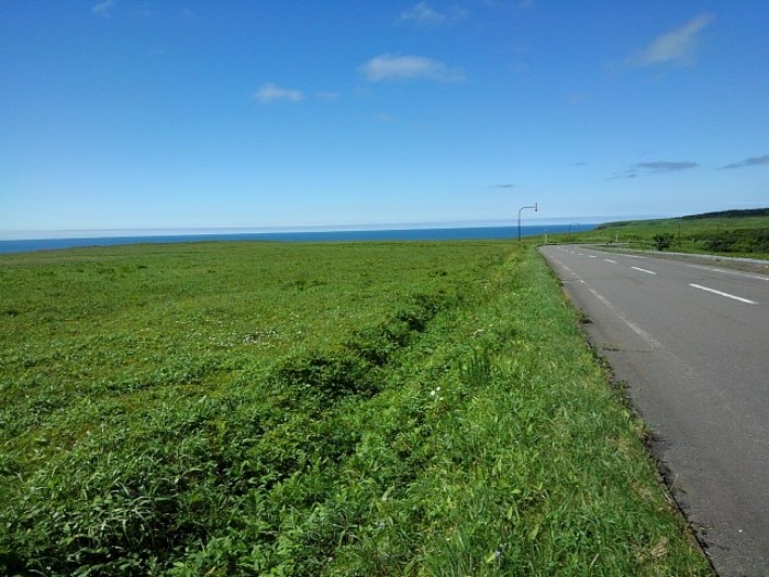 海に向かう