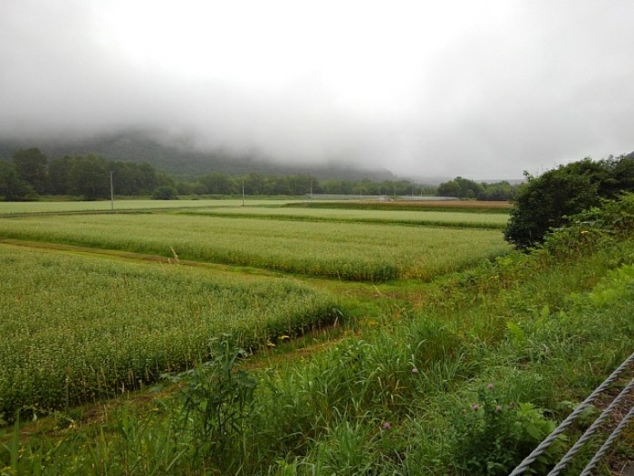 曇り☁️