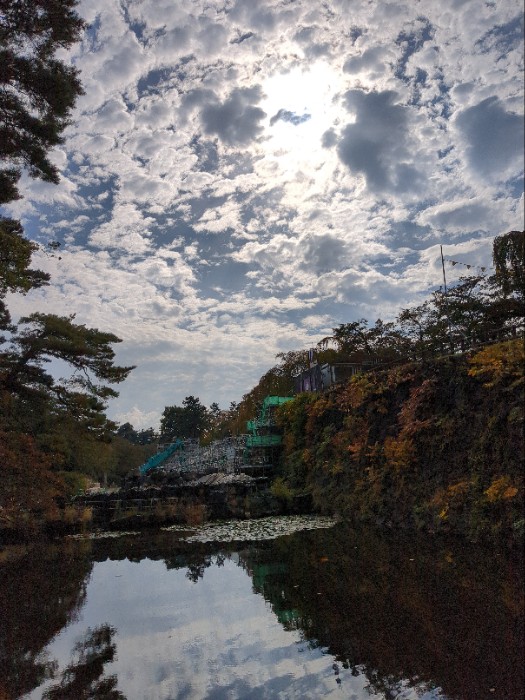 重機