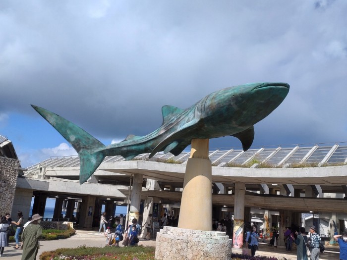 美ら海水族館 入口