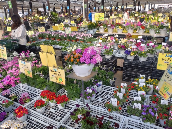 花市場
