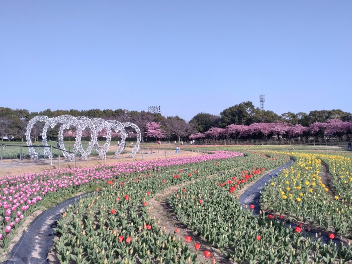 花ひろば