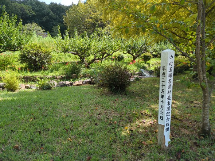 中村玉緒村長記念植樹