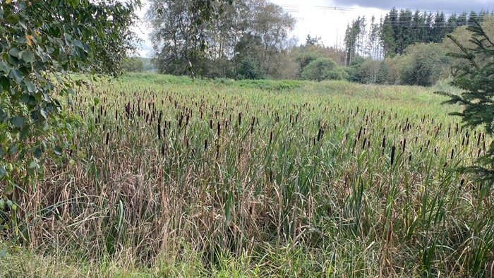 Noch immer wissen wir nicht wie die „Kanonen-Putzer“