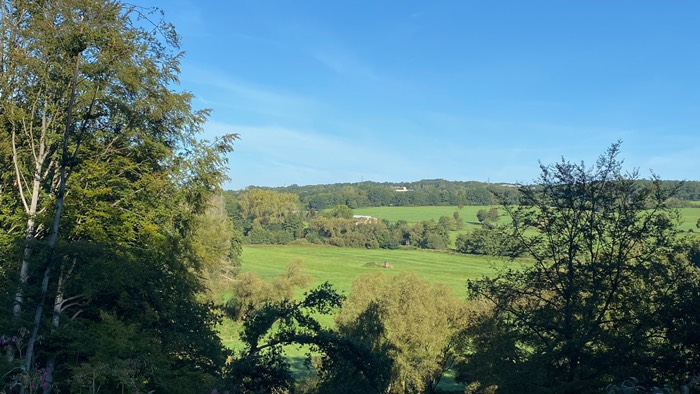 Intakter Wald