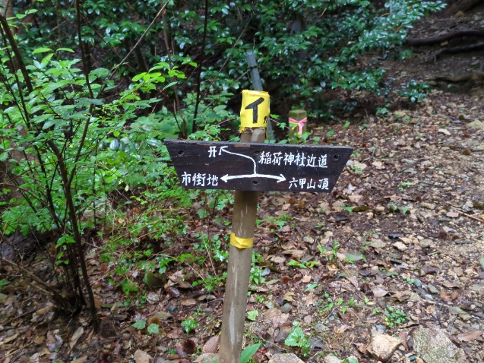 分岐 神社近道回避