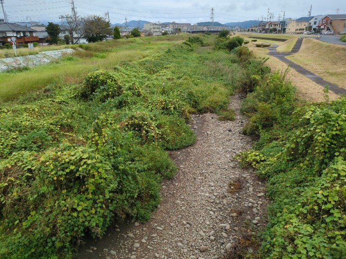 内津川 水無し