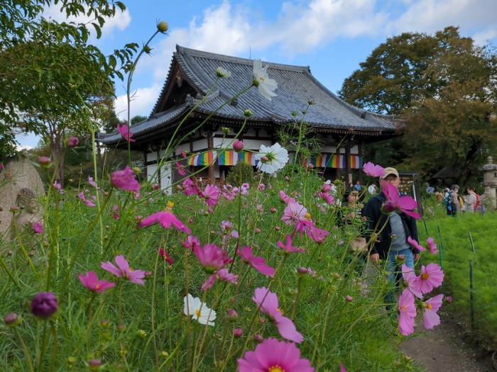 般若寺