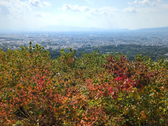 若草山より