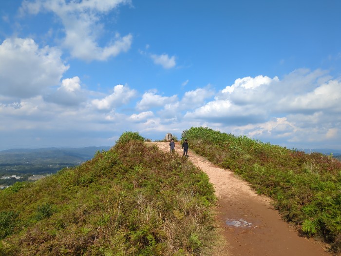 若草山頂へ