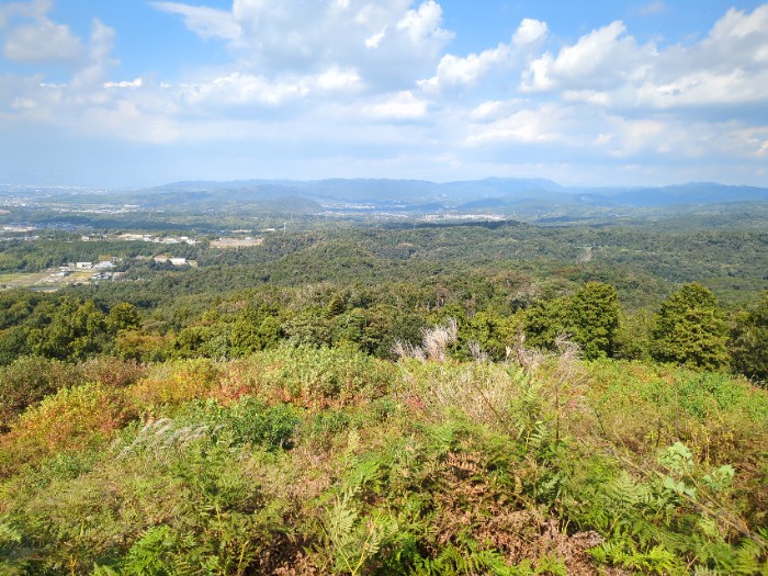 若草山 山頂より