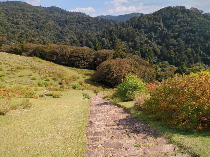 南ゲ―ト登山道