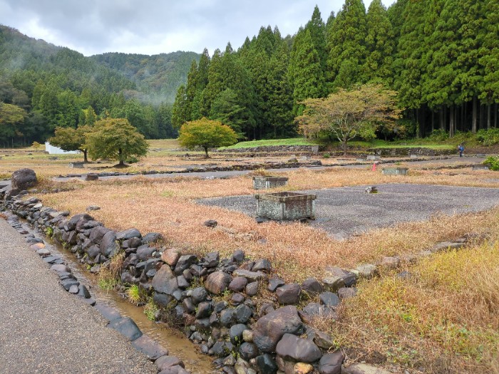 平面復元地区