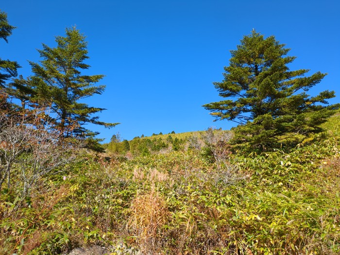 登山開始