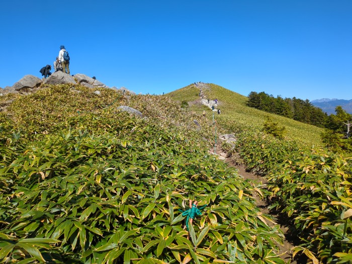 山頂へ